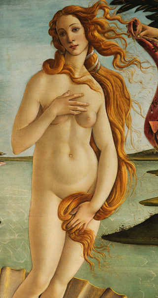 Sandro Botticelli venus alleen